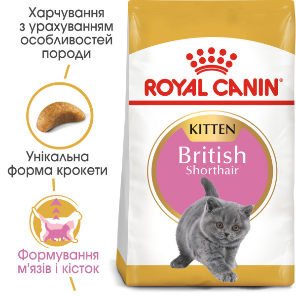 Royal Canin (Роял Канін) British Shorthair Kitten - Сухий корм для кошенят породи Британська короткошерста 10 кг