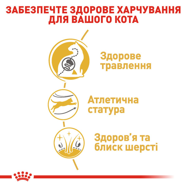 Royal Canin (Роял Канін) Bengal Adult - Сухий корм для дорослих котів породи Бенгальська 10 кг