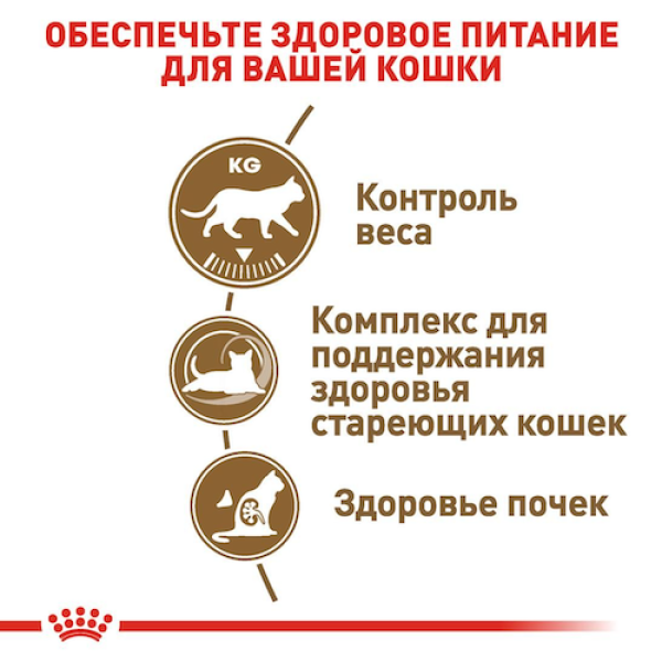 Royal Canin (Роял Канін) Sterilised Ageing 12+ - Сухий корм для кастрованих котів старше 12 років 2 кг