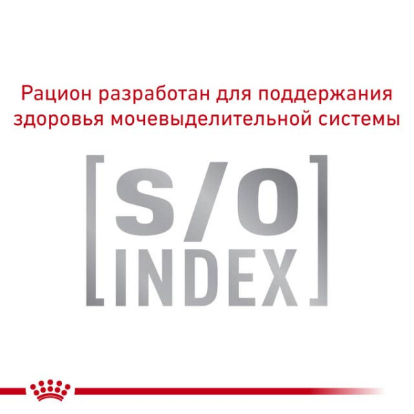 Royal Canin (Роял Канин) Cat Neutered Balance Adult Poultry - Влажный корм для взрослых стерилизованных котов с мясом птицы 85 г