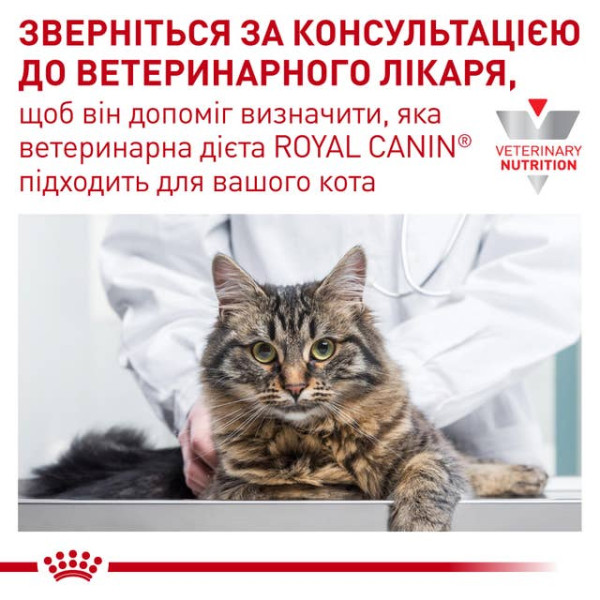 Royal Canin (Роял Канин) Cat Neutered Balance Adult Poultry - Влажный корм для взрослых стерилизованных котов с мясом птицы 85 г