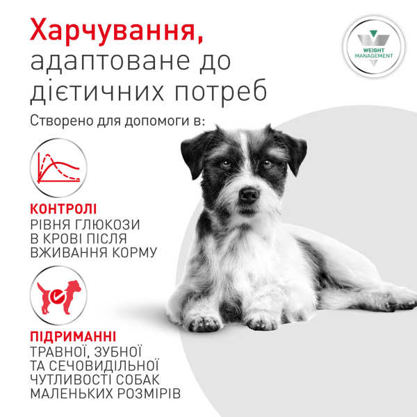 Royal Canin (Роял Канин) Glycobalance Small Dog Poultry - Сухой диетический корм для взрослых собак мелких пород предназначенный для регулирования поступления глюкозы с мясом птицы 1.5 кг Royal Canin (Роял Канин) Glycobalance Small Dog Poultry - Сухой диетический корм для взрослых собак мелких пород предназначенный для регулирования поступления глюкозы с мясом птицы 1.5 кг