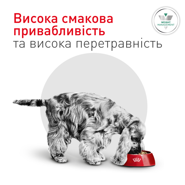 Royal Canin (Роял Канин) Glycobalance Small Dog Poultry - Сухой диетический корм для взрослых собак мелких пород предназначенный для регулирования поступления глюкозы с мясом птицы 1.5 кг Royal Canin (Роял Канин) Glycobalance Small Dog Poultry - Сухой диетический корм для взрослых собак мелких пород предназначенный для регулирования поступления глюкозы с мясом птицы 1.5 кг