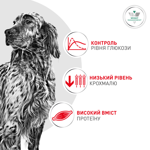 Royal Canin (Роял Канин) Glycobalance Poultry - Cухой диетический корм для взрослых собак средних пород предназначенный для регулирования поступления глюкозы с мясом птицы 1.5 кг