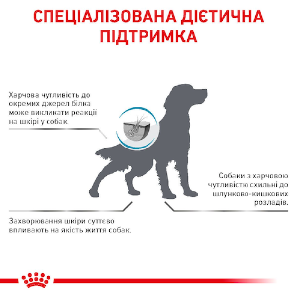 Royal Canin (Роял Канин) Dog All Breed Anallergenic Adult - Сухой корм для взрослых собак всех пород при пищевой аллергии и непереносимости 8 кг