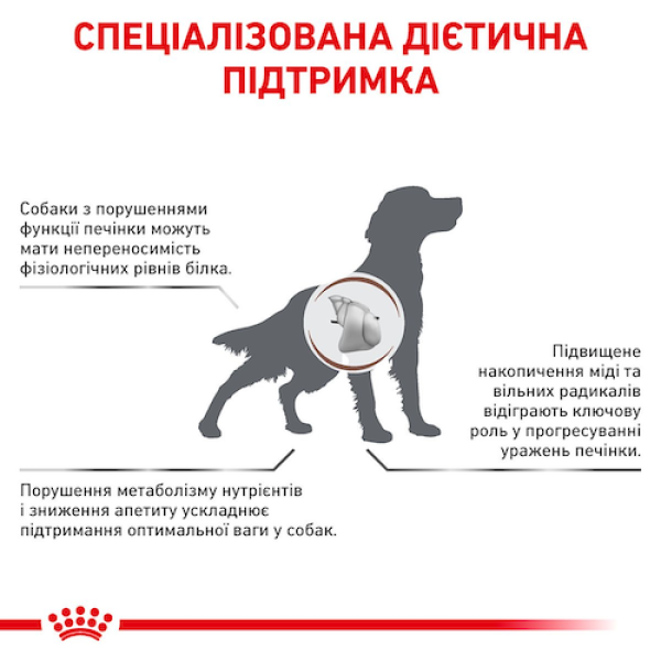 Royal Canin (Роял Канин) All Breed Dog Hepatic Adult Poultry & Rice - Сухой корм для взрослых собак всех пород при заболеваниях печени с мясом птицы и рисом 1.5 кг