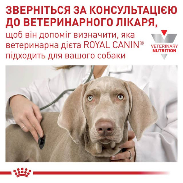 Royal Canin (Роял Канин) Dog Renal Canine Adult Poultry & Pork - Влажный лечебный корм для взрослых собак при почечной недостаточности с мясом птицы и свинины 410 г Royal Canin (Роял Канин) Dog Renal Canine Adult Poultry & Pork - Влажный лечебный корм для взрослых собак при почечной недостаточности с мясом птицы и свинины 410 г