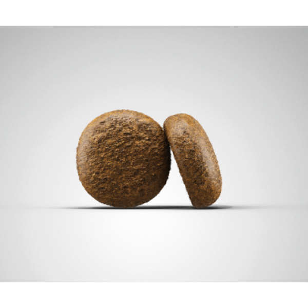 Josera (Йозера) Hypoallergenic - Сухой беззерновой корм для собак склонных к алергическим реакциям с птицей и насекомыми 12.5 кг