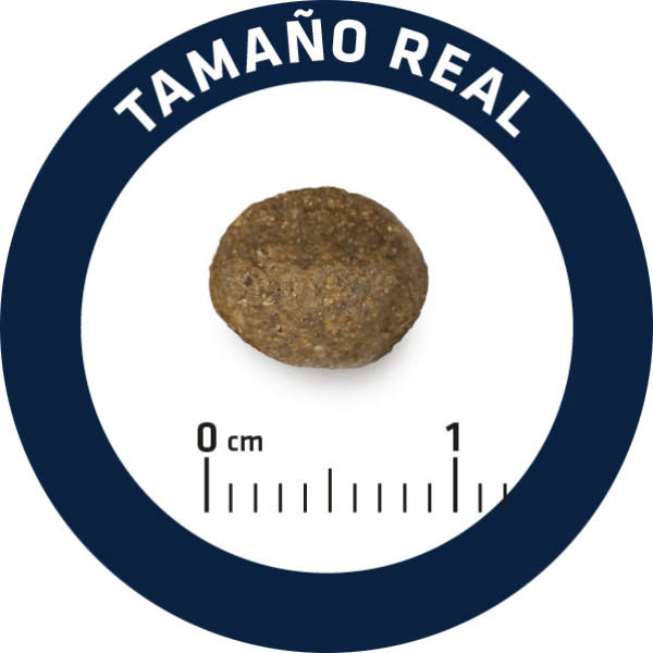 Advance Dog Mini Sensitive Salmon & Rice - Сухий корм для собак дрібних порід з лососем і рисом 3 кг