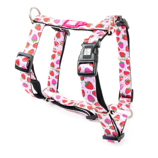 Max & Molly (Макс Молли) H-Harness Strawberry Dream M - Шлея для собак с принтом клубничная мечта