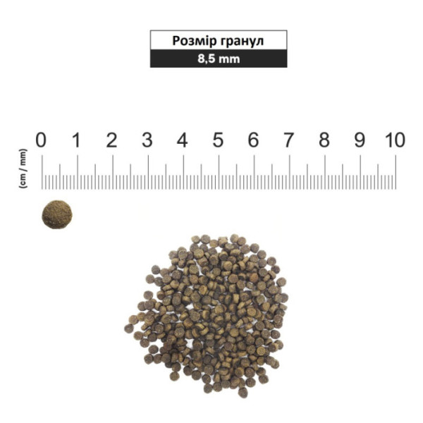 1st Choice (Фест Чойс) Adult Toy & Small Chicken - Сухой корм для взрослых собак малых пород с курицей 7 кг