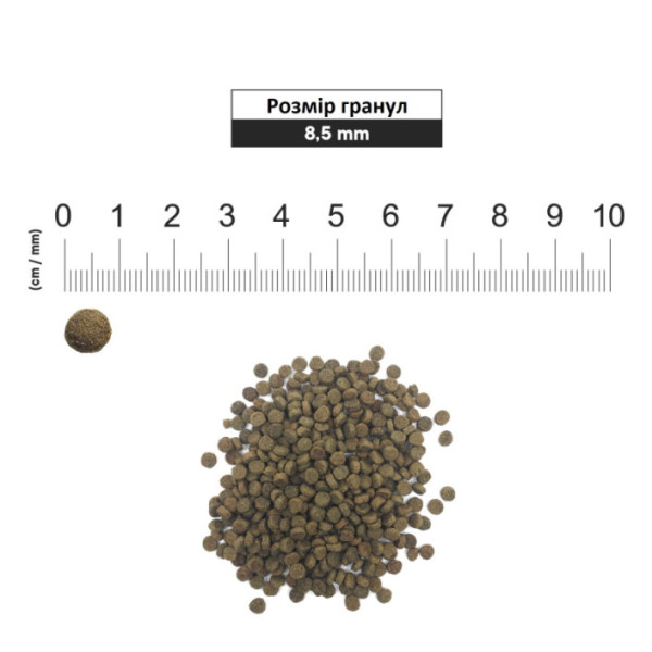 1st Choice (Фест Чойс) Dog Senior Toy&Small Breed Chicken - Сухий корм для собак малих порід літнього віку з куркою 2 кг