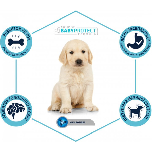 Advance Dog Maxi Puppy Chicken & Rice - Сухий корм для цуценят великих порід з куркою та рисом 12 кг