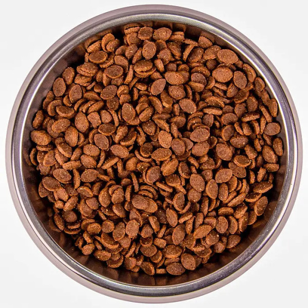 Monge (Монж) Bwild Cat Low Grain Rabbit Adult - Сухой корм для взрослых котов с мясом зайца 1.5 кг Monge (Монж) Bwild Cat Low Grain Rabbit Adult - Сухой корм для взрослых котов с мясом зайца 1.5 кг