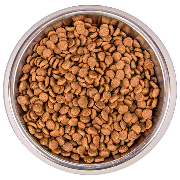 Monge (Монж) Cat Trout Monoprotein Kitten - Сухий монопротеїновий корм для кошенят, вагітних та годуючих котів з м’ясом форелі 400 г