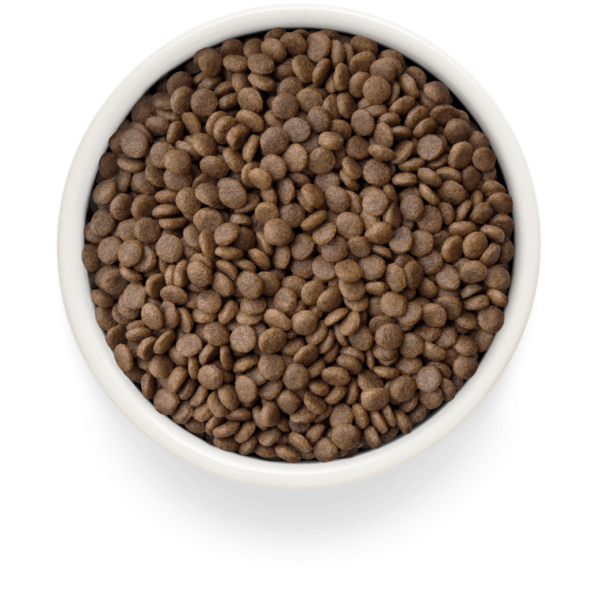 Grandorf (Грандорф) Fresh Duck & Sweet Potato Adult Cat Sterilised - Сухой беззерновой корм для стерилизованных котов с уткой и бататом 2 кг