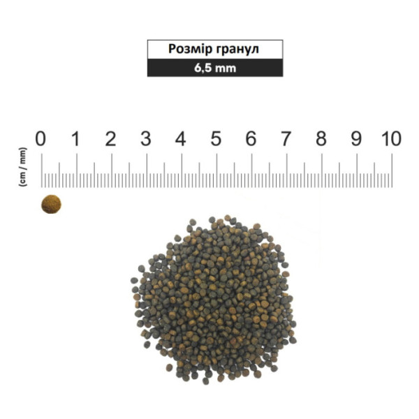 1st Choice (Фест Чойс) Kitten Optimal Growth - Сухой корм для котят всех пород с рыбой 320 г