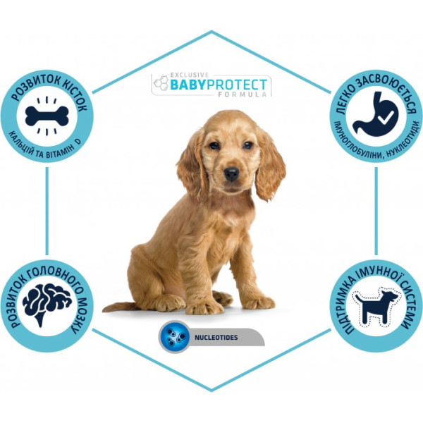 Advance Dog Medium Puppy Chicken & Rice - Сухий корм для цуценят середніх порід з куркою та рисом 12 кг