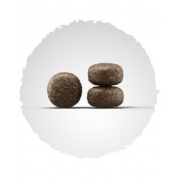 Josera (Йозера) Lamm & Reis - Сухий гіпоалергенний корм для собак з ягням та рисом 12.5 кг