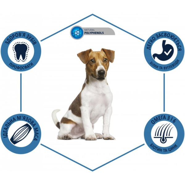 Advance Dog Mini Adult Chicken & Rice - Сухий корм для дорослих собак дрібних порід з куркою і рисом 3 кг