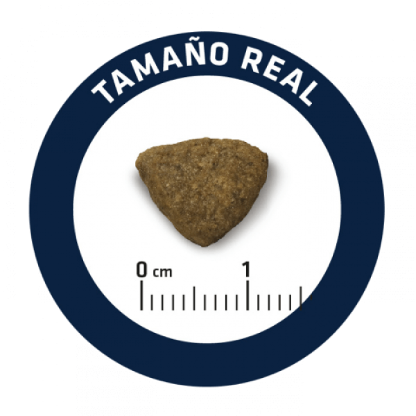 Advance Dog Medium Adult Chicken & Rice - Сухой корм для взрослых собак средних пород с курицей и рисом 10 кг