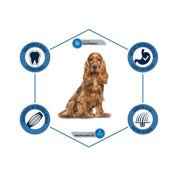 Advance Dog Medium Adult Chicken & Rice - Сухой корм для взрослых собак средних пород с курицей и рисом 10 кг