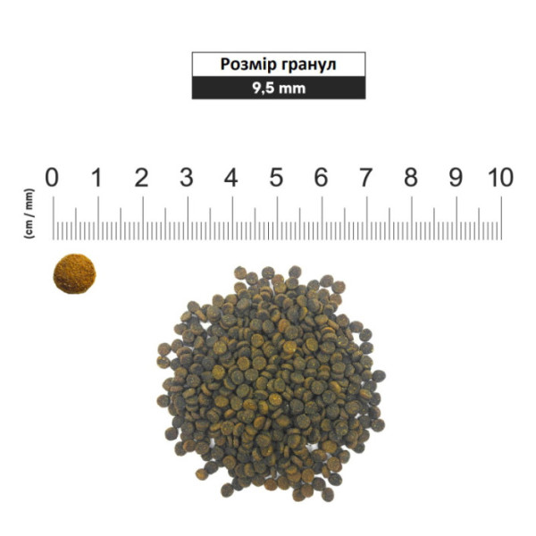 1st Choice (Фест Чойс) Cat Adult Derma - Сухой корм для кошек с чувствительной и склонной к раздражению кожей 320 г