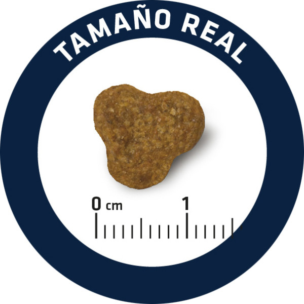 Advance Dog Yorkshire Chicken & Rice - Сухий корм для йоркширських тер`єрів з куркою та рисом 1.5 кг