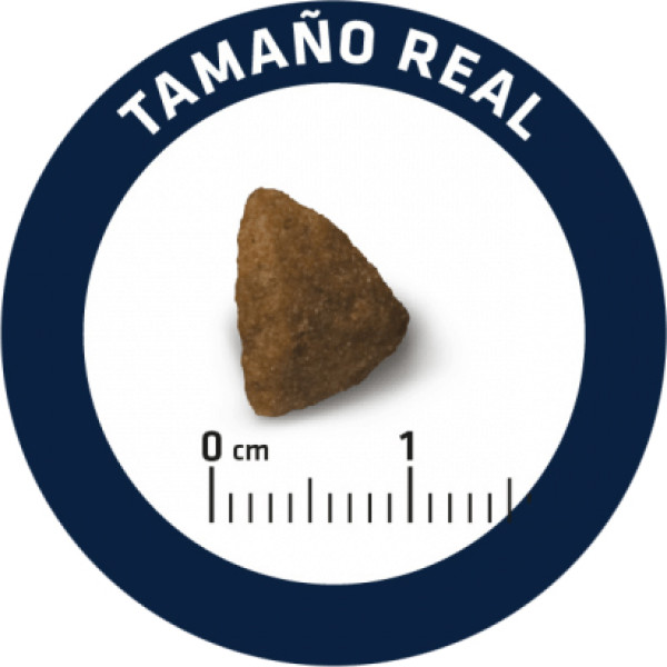 Advance Dog Mini Adult Chicken & Rice - Сухий корм для дорослих собак дрібних порід з куркою і рисом 7.5 кг