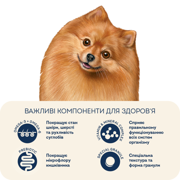 Home Food (Хоум Фуд) Dog Adult Mini Healthy Skin and Shiny Coat Turkey & Salmon - Cухой корм для собак мелких пород здоровая кожа и блеск шерсти индейка и лосось 300 г