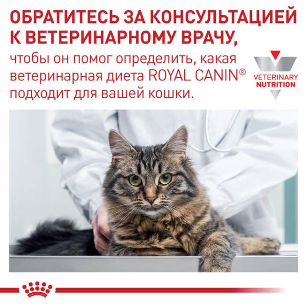Royal Canin (Роял Канин) Cat Renal Feline Pouches Adult Beef - Влажный корм для взрослых котов для поддержания функции почек в случае почечной недостаточности с мясом говядины 85 г