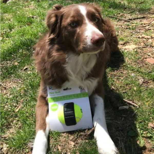 Outward Hound (Аутвард Хаунд) Tyre Ball - Игрушка для собак салатовая 9 см