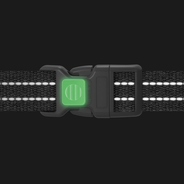 WauDog (ВауДог) Re-cotton Green - Шлей для собак анатомический Н-образный с ручкой зеленый (Ш 20 мм, A 43-60 см, B 50-80 см) M