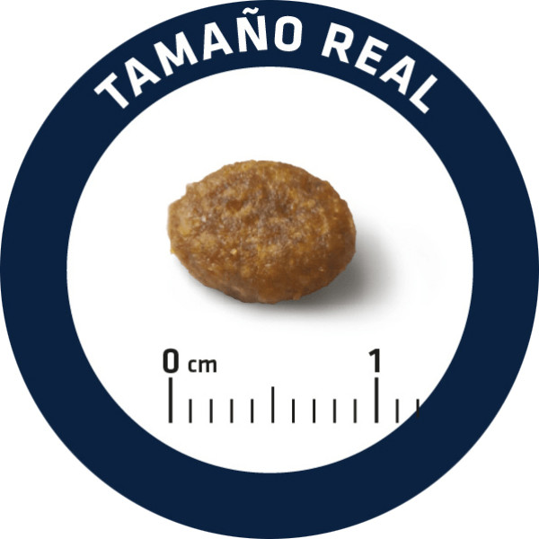 Advance Dog Puppy All Breeds Sensitive Salmon & Rice - Сухой корм для щенков с чувствительным пищеварением с лососем и рисом 0.8 кг