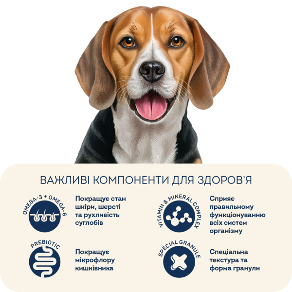 Home Food (Хоум Фуд) Grain Free Dog Adult Medium & Maxi Hypoallergenic Duck & Chickpeas - Сухой беззерновой гипоаллергенный корм для собак средних и крупных пород с мясом утки и нутом 300 г