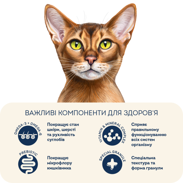 Home Food (Хоум Фуд) for Kitten Fresh Chicken - Сухий корм для кошенят з куркою 1.6 кг