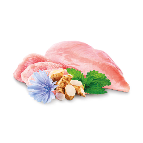 Home Food (Хоум Фуд) for Kitten Fresh Chicken - Сухий корм для кошенят з куркою 10 кг