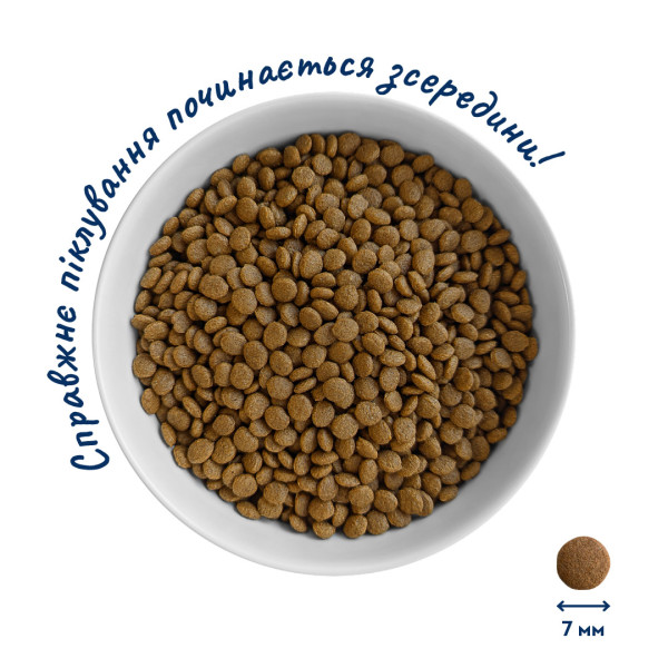 Home Food (Хоум Фуд) for Kitten Fresh Chicken - Сухий корм для кошенят з куркою 10 кг