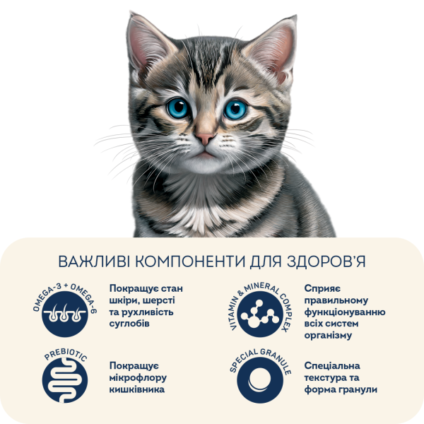 Home Food (Хоум Фуд) for Kitten Fresh Chicken - Сухий корм для кошенят з куркою 10 кг