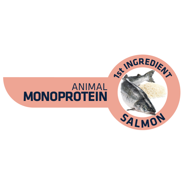 Advance Dog Mini Sensitive Salmon & Rice - Сухой корм для собак мелких пород с лососем и рисом 7 кг