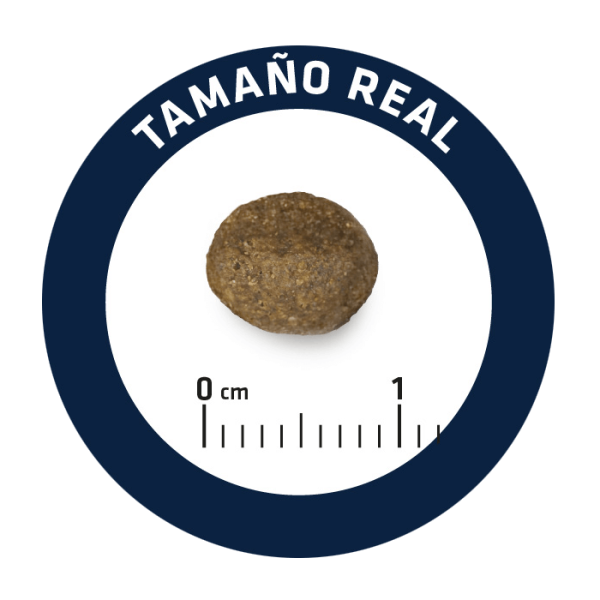 Advance Dog Mini Sensitive Salmon & Rice - Сухой корм для собак мелких пород с лососем и рисом 7 кг