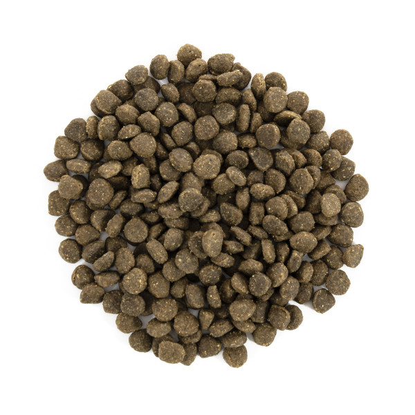 Brit Care (Бріт Кеа) Mini Grain Free Adult Lamb - Сухий беззерновий корм для собак міні порід з ягням 7 кг