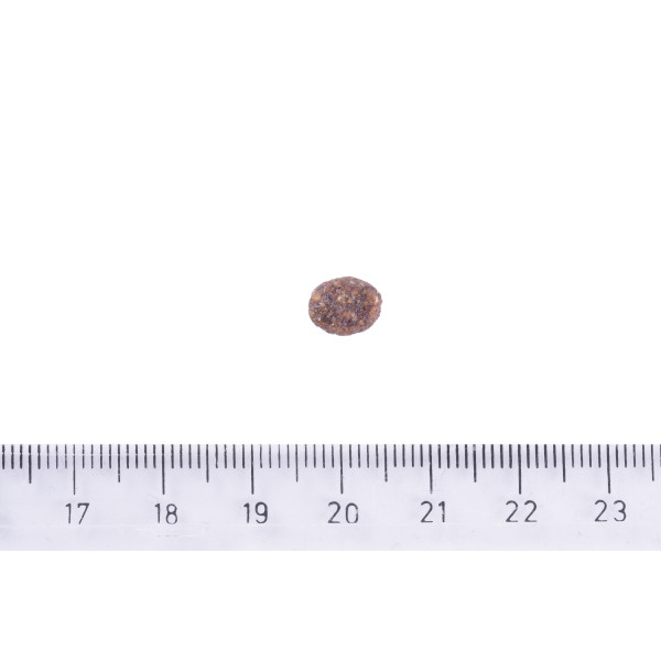 Brit Care (Бріт Кеа) Sustainable Adult Small Breed - Сухий корм для собак дрібних порід з куркою та комахами 3 кг