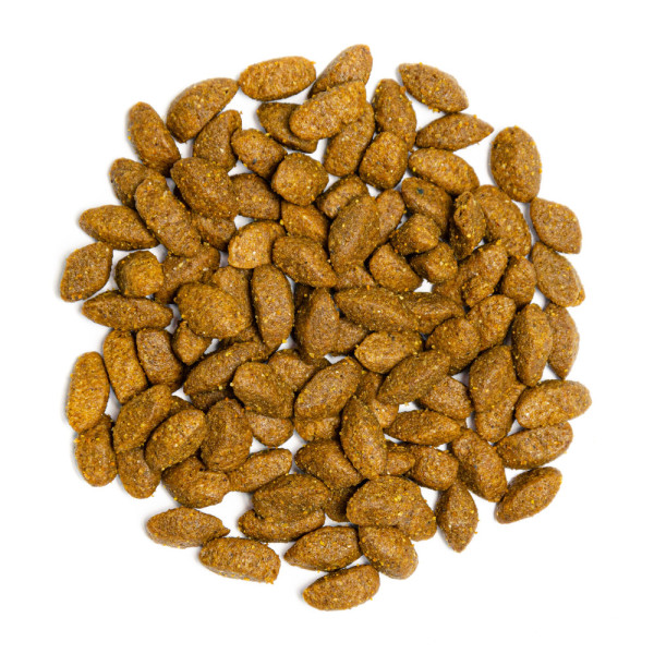 Profine (Профайн) Energy With Chicken - Сухой корм для активных собак всех пород, с курицей и картофелем 12 кг