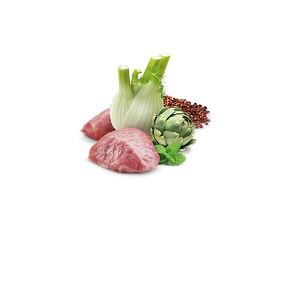 Farmina (Фармина) Cat N&D Quinoa Grain Free Lamb & Fennel Digestion Adult - Влажный беззерновой корм для взрослых котов с чувствительным пищеварением с мясом ягнёнка и фенхелем 80 г Farmina (Фармина) Cat N&D Quinoa Grain Free Lamb & Fennel Digestion Adult - Влажный беззерновой корм для взрослых котов с чувствительным пищеварением с мясом ягнёнка и фенхелем 80 г