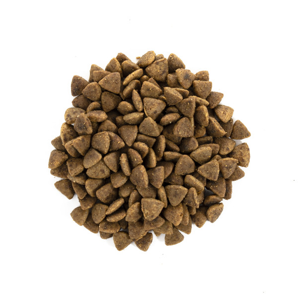 Brit Care (Бріт Кеа) Adult Activity Support - Сухий беззерновий корм для високоактивних дорослих котів 2 кг