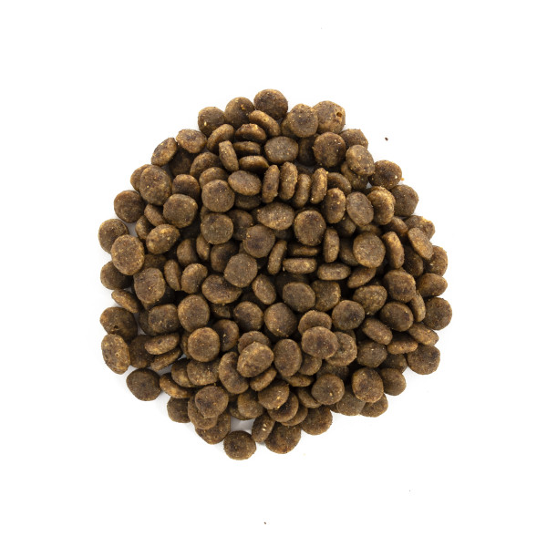 Brit Care (Бріт Кеа) Sensitive HDigestion - Сухий беззерновий корм для котів з чутливим ШКТ 7 кг