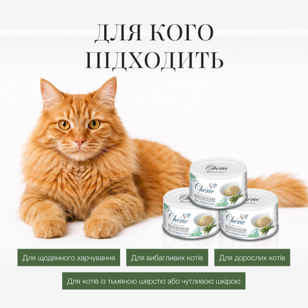 Cherie (Чери) Cat Grain Free Chicken & Spinach Skin & Coat Adult - Влажный беззерновой корм для взрослых котов для здоровья кожи и шерсти кусочки в соусе с мясом курицы и шпинатом 80 г Cherie (Чери) Cat Grain Free Chicken & Spinach Skin & Coat Adult - Влажный беззерновой корм для взрослых котов для здоровья кожи и шерсти кусочки в соусе с мясом курицы и шпинатом 80 г
