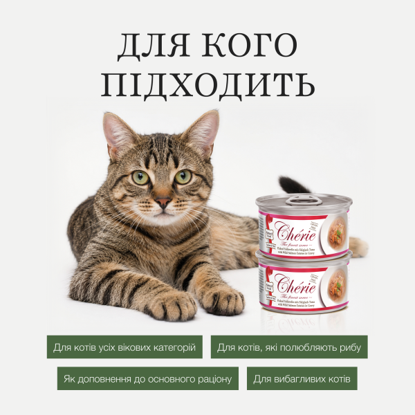 Cherie (Чери) Cat Grain Free Tuna & Salmon All Life Stages - Влажный беззерновой корм для котов всех возрастов кусочки в соусе с мясом тунца и лосося 80 г Cherie (Чери) Cat Grain Free Tuna & Salmon All Life Stages - Влажный беззерновой корм для котов всех возрастов кусочки в соусе с мясом тунца и лосося 80 г