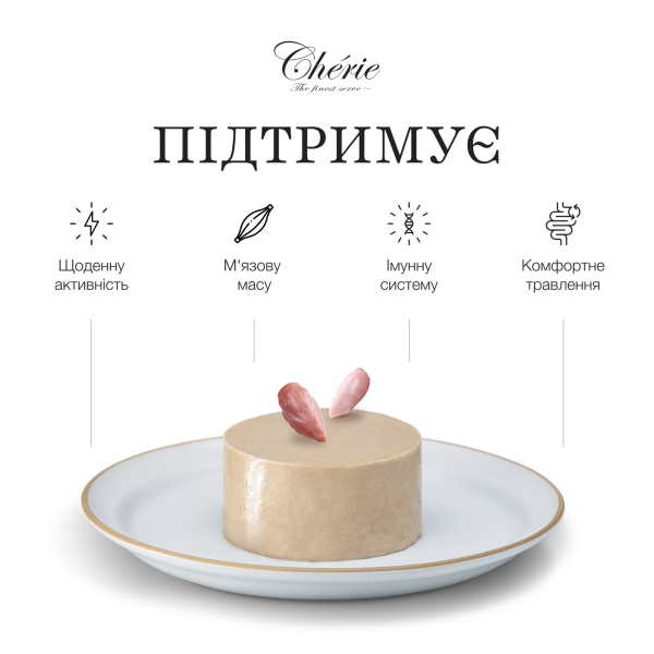 Cherie (Чери) Dog Grain Free Chicken & Turkey Mousse Adult All Breeds - Влажный беззерновой корм для взрослых собак всех пород мусс с мясом курицы и индейкой 90 г Cherie (Чери) Dog Grain Free Chicken & Turkey Mousse Adult All Breeds - Влажный беззерновой корм для взрослых собак всех пород мусс с мясом курицы и индейкой 90 г
